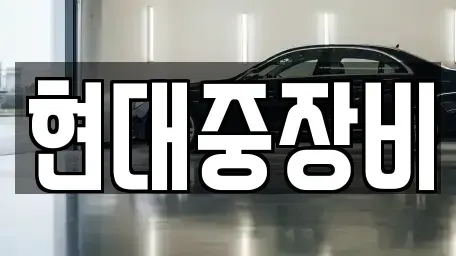 전북특별자치도 전주시 덕진구 성덕동 중고차매매 전문 현대중장비