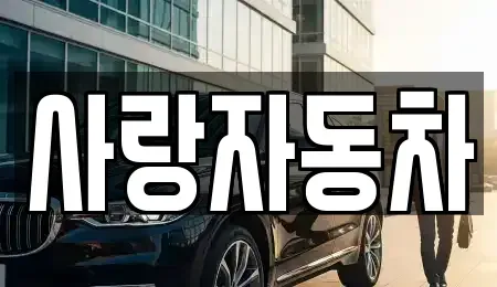 전북특별자치도 전주시 덕진구 전미동1가 중고차매매 전문 사랑자동차