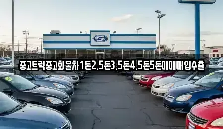 전북특별자치도 전주시 완산구 교동 중고차 전문 중고트럭중고화물차1톤2.5톤3.5톤4.5톤5톤매매매입수출