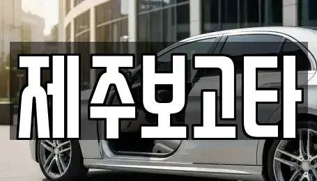 제주 제주시 연동 렌트카 전문 제주보고타