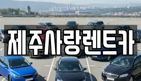 제주 제주시 연동 렌트카 전문 제주사랑렌트카