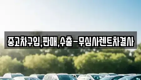 제주 제주시 연동 중고차,렌트카,중고차매입,중고차매매,장기렌트카,단기렌트카