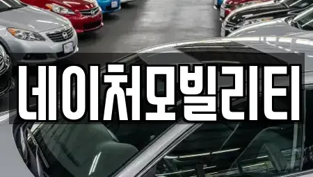 제주 제주시 용강동 렌트카 전문 네이처모빌리티