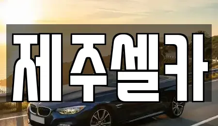 제주 제주시 용강동 중고차매매 전문 제주셀카
