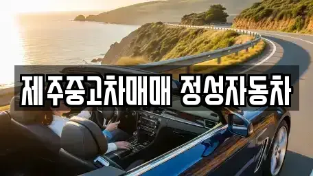 제주 제주시 용강동 중고차매매 전문 제주중고차매매 정성자동차