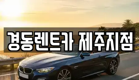 제주 제주시 이호일동 렌트카,단기렌트카,장기렌트카,중고차,중고차매매,중고차매입