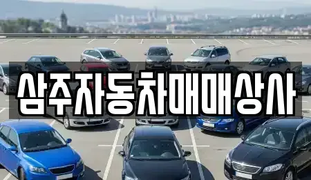 제주 제주시 이호일동 중고차 전문 삼주자동차매매상사