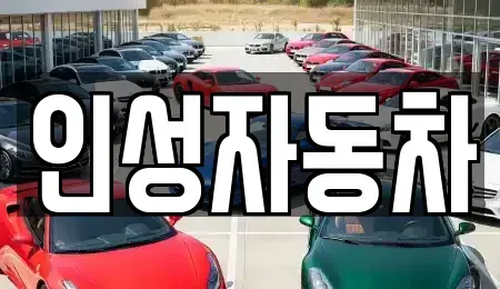 제주 제주시 이호일동 중고차 전문 인성자동차