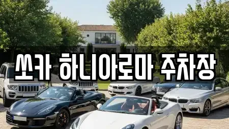 제주특별자치도 서귀포시 서홍동 렌트카 전문 쏘카 하니아로마 주차장