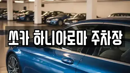 제주특별자치도 서귀포시 서홍동 렌트카 전문 쏘카 하니아로마 주차장