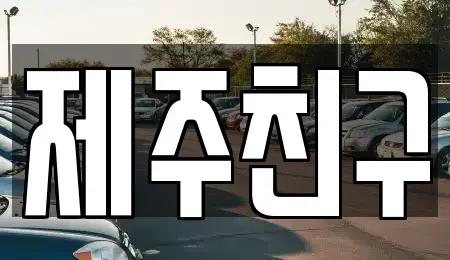 제주특별자치도 서귀포시 서홍동 렌트카 전문 제주친구