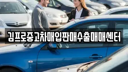 제주특별자치도 서귀포시 서홍동 중고차 전문 김프로중고차매입판매수출매매센터