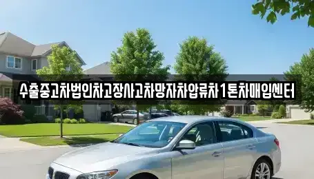 제주특별자치도 서귀포시 서홍동 중고차매매 전문 수출중고차법인차고장사고차망자차압류차1톤차매입센터