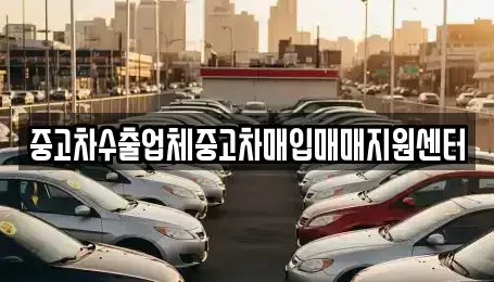 제주특별자치도 서귀포시 서홍동 중고차매매 전문 중고차수출업체중고차매입매매지원센터