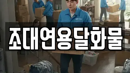 조대연용달화물