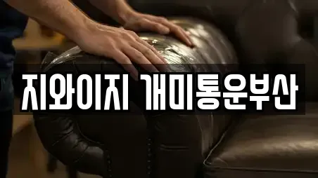 지와이지 개미통운부산