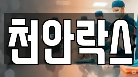 천안락스
