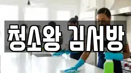 청소왕 김서방