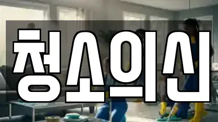 청소의신