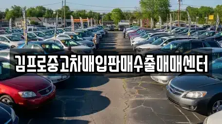 충남 공주시 봉황동 중고차매매 전문 김프로중고차매입판매수출매매센터