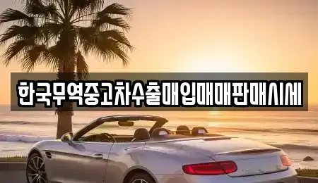충남 공주시 상왕동 중고차매입 전문 한국무역중고차수출매입매매판매시세