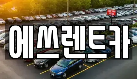 충남 보령시 동대동 렌트카 전문 에쓰렌트카