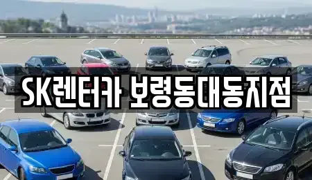 충남 보령시 동대동 장기렌트카 전문 SK렌터카 보령동대동지점