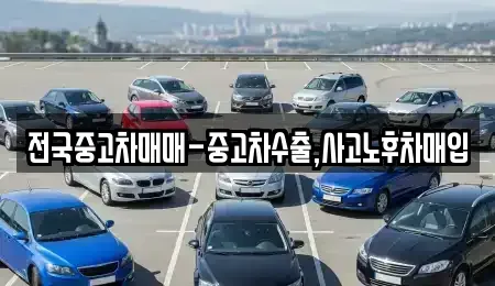 충남 보령시 동대동 중고차매매 전문 전국중고차매매-중고차수출,사고노후차매입