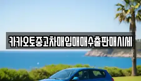 충남 보령시 동대동 중고차매입 전문 카카오토중고차매입매매수출판매시세
