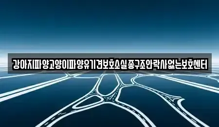 충남 부여군 남면 중고차 전문 강아지파양고양이파양유기견보호소실종구조안락사없는보호센터