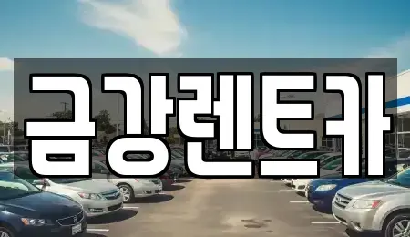 충남 서산시 읍내동 렌트카,단기렌트카,장기렌트카,중고차,중고차매매,중고차매입