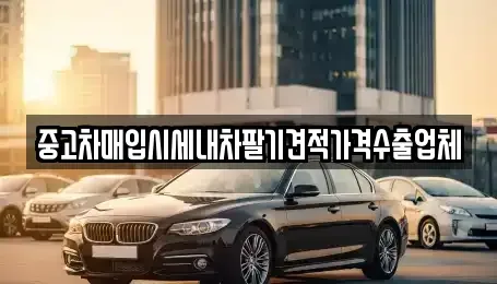 충남 서산시 읍내동 중고차 전문 중고차매입시세내차팔기견적가격수출업체