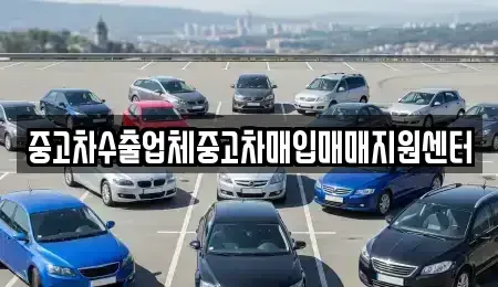 충남 서산시 읍내동 중고차 전문 중고차수출업체중고차매입매매지원센터