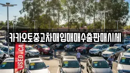 충남 아산시 실옥동 단기렌트카,중고차매입,중고차매매,중고차,렌트카,장기렌트카