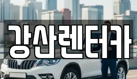 충남 천안시 동남구 신부동 단기렌트카 전문 강산렌터카