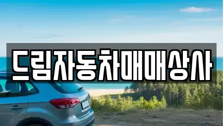 충남 천안시 동남구 신부동 중고차 전문 드림자동차매매상사