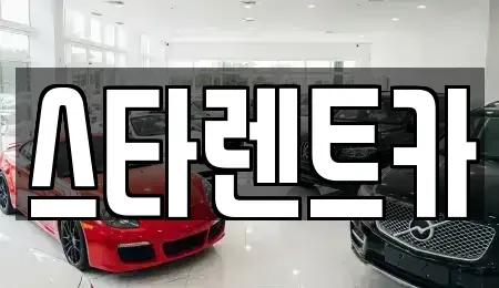 충남 천안시 동남구 용곡동 렌트카 전문 스타렌트카