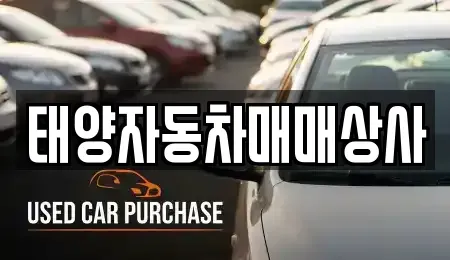 충남 천안시 동남구 용곡동 중고차매매 전문 태양자동차매매상사