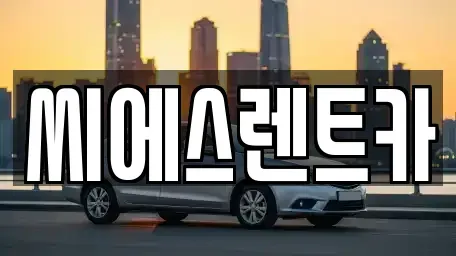 충남 천안시 동남구 원성동 렌트카 전문 씨에스렌트카