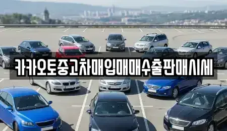 충남 천안시 동남구 원성동 중고차매입 전문 카카오토중고차매입매매수출판매시세