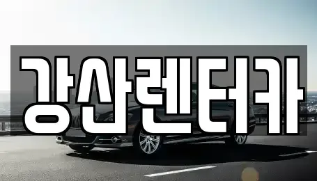 충남 천안시 서북구 두정동 단기렌트카 전문 강산렌터카