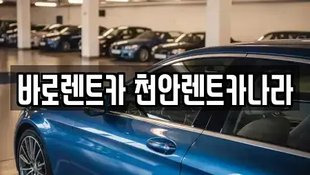 충남 천안시 서북구 두정동 렌트카 전문 바로렌트카 천안렌트카나라