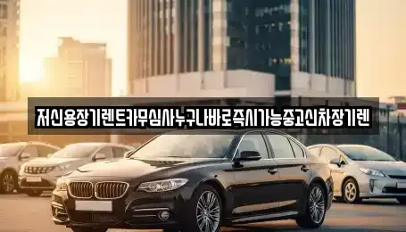충남 천안시 서북구 두정동 장기렌트카 전문 저신용장기렌트카무심사누구나바로즉시가능중고신차장기렌