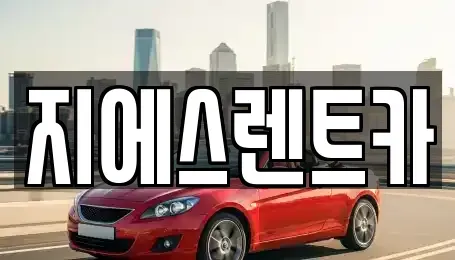 충남 천안시 서북구 두정동 장기렌트카 전문 지에스렌트카