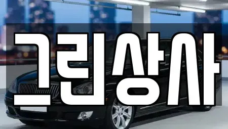 충남 천안시 서북구 두정동 중고차 전문 그린상사