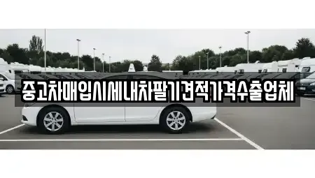 충남 천안시 서북구 두정동 중고차매입 전문 중고차매입시세내차팔기견적가격수출업체