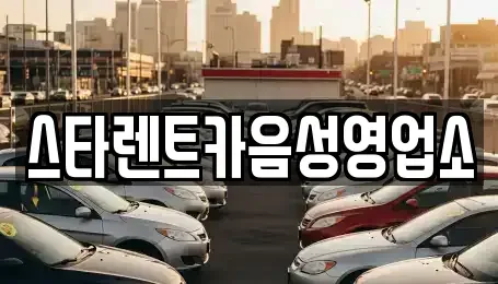 충북 음성군 렌트카 전문 스타렌트카음성영업소