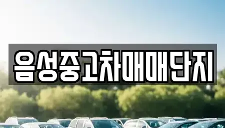 충북 음성군 중고차 전문 음성중고차매매단지