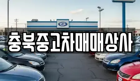 충북 음성군 중고차 전문 충북중고차매매상사