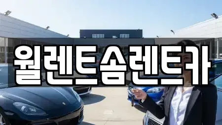 충북 청주시 상당구 남일면 렌트카 전문 월렌트솜렌트카